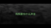 狗狗最怕什么声音