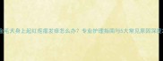 金毛犬身上起红疙瘩发痒怎么办专业护理指南与5大常见原因深度