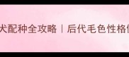 比熊犬泰迪犬配种全攻略后代毛色性格健康必看指南