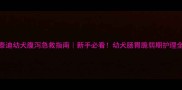2月龄泰迪幼犬腹泻急救指南新手必看幼犬肠胃脆弱期护理全攻略