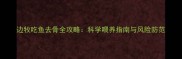 边牧吃鱼去骨全攻略科学喂养指南与风险防范