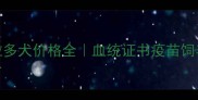 进口拉布拉多犬价格全血统证书疫苗饲养成本都在这