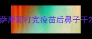 萨摩耶打完疫苗后鼻子干