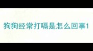 狗狗经常打嗝是怎么回事