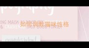 如何调教猫咪性格
