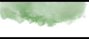 刚满月的小狗拉虫子