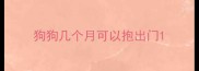 狗狗几个月可以抱出门