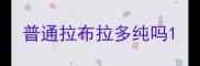 普通拉布拉多纯吗