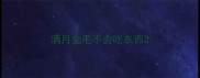 满月金毛不会吃东西