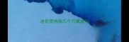 迷你雪纳瑞几个月算成年