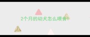 2个月的幼犬怎么喂食