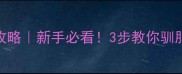 哈士奇训练全攻略新手必看3步教你驯服冰山脸拆家王