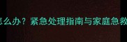 哈士奇两天不吃饭怎么办紧急处理指南与家庭急救措施养宠必看