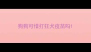狗狗可惜打狂犬疫苗吗