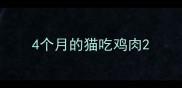 4个月的猫吃鸡肉
