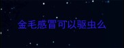 金毛感冒可以驱虫么