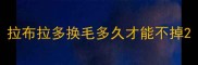 拉布拉多换毛多久才能不掉