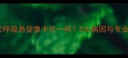 边境牧羊犬呼吸急促像卡住一样5大病因与专业护理指南
