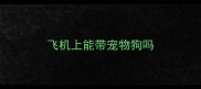飞机上能带宠物狗吗