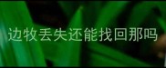 边牧丢失还能找回那吗