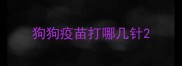 狗狗疫苗打哪几针