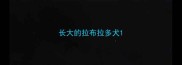 长大的拉布拉多犬