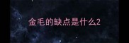 金毛的缺点是什么