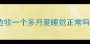 边牧一个多月爱睡觉正常吗