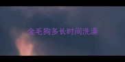 金毛狗多长时间洗澡