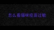 怎么看猫咪疫苗过敏