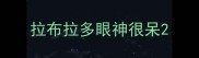 拉布拉多眼神很呆