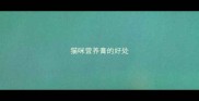猫咪营养膏的好处