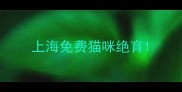 上海免费猫咪绝育