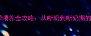 40天泰迪幼犬科学喂养全攻略从断奶到断奶期的营养与护理要点