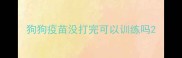 狗狗疫苗没打完可以训练吗