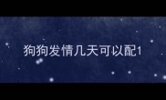 狗狗发情几天可以配