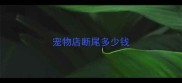 宠物店断尾多少钱