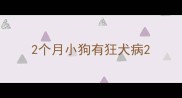 2个月小狗有狂犬病