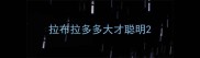 拉布拉多多大才聪明
