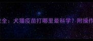 宠物疫苗注射部位全犬猫疫苗打哪里最科学附操作指南与注意事项