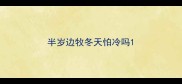 半岁边牧冬天怕冷吗