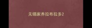 无锡家养拉布拉多