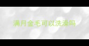 满月金毛可以洗澡吗