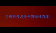 拉布拉多犬外伤流粘性液体
