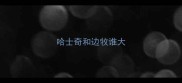 哈士奇和边牧谁大