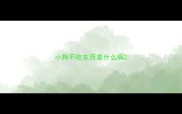 小狗不吃东西是什么病