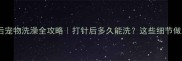 狂犬疫苗后宠物洗澡全攻略打针后多久能洗这些细节做对不踩雷
