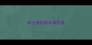 哈士奇目前市场价格