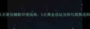 拉布拉多犬最佳睡眠环境指南5大黄金选址法则与窝具选购全攻略