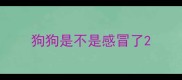 狗狗是不是感冒了